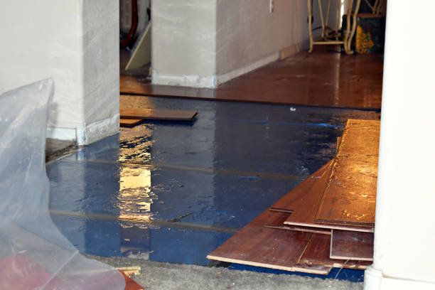 Professional Basement Water Removal technician working in Lawrence, IN